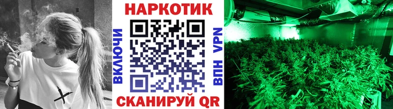 Купить закладку Псилоцибиновые грибы  Мефедрон  Альфа ПВП  БУТИРАТ  Канабис  ГАШ  Карабаново