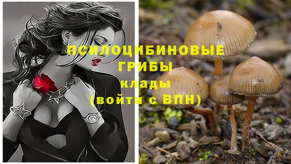 твердый Карталы