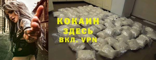 мяу мяу мука Карпинск
