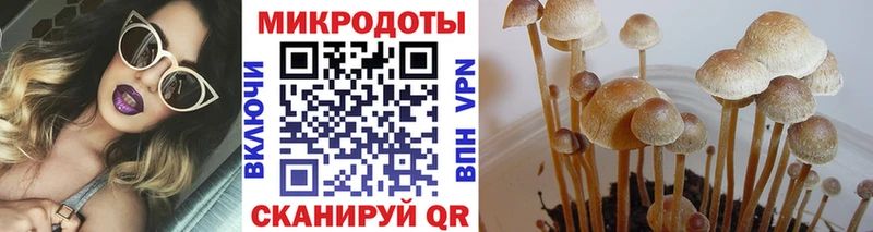 Галлюциногенные грибы прущие грибы  Купить  Карабаново 